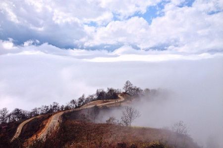 Ảnh của Kinh nghiệm săn mây ở Y Tý, Lào Cai